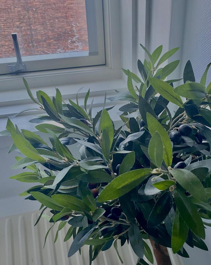 Lilla Brunn Hostel Stockholm Kültér fotó